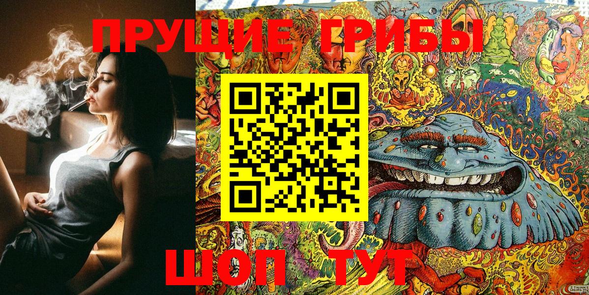 Среднеуральск  Галлюциногенные грибы Psilocybine cubensis  Вход с VPN 